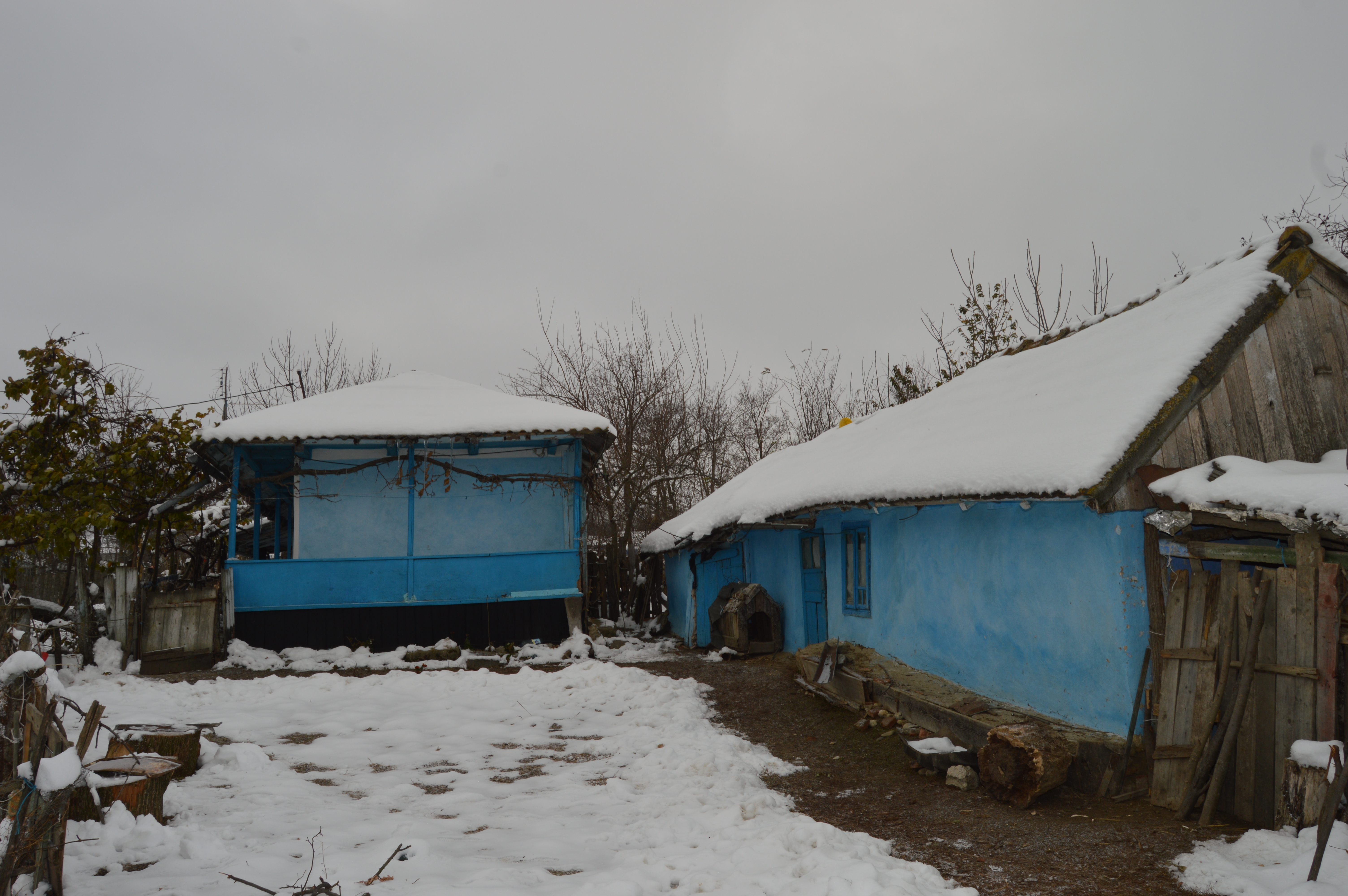 GALERIE FOTO/ Profira Baciu sărbătorește Ziua Națională cu urechea lipită de radio și are un mesaj pentru guvernanți: "Să ne aducă acasă  copiii din străinătate"