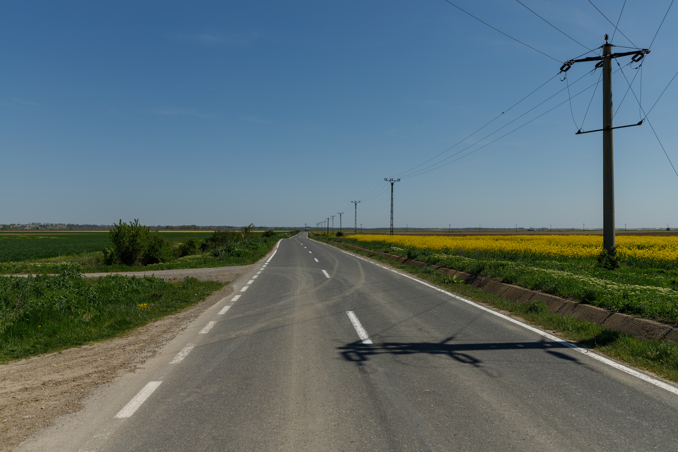 REPORTAJ. Care este noul pol al secetei din România unde zeci de fermieri se declară în faliment. Declarațiile oamenilor din generația nouă de agricultori 