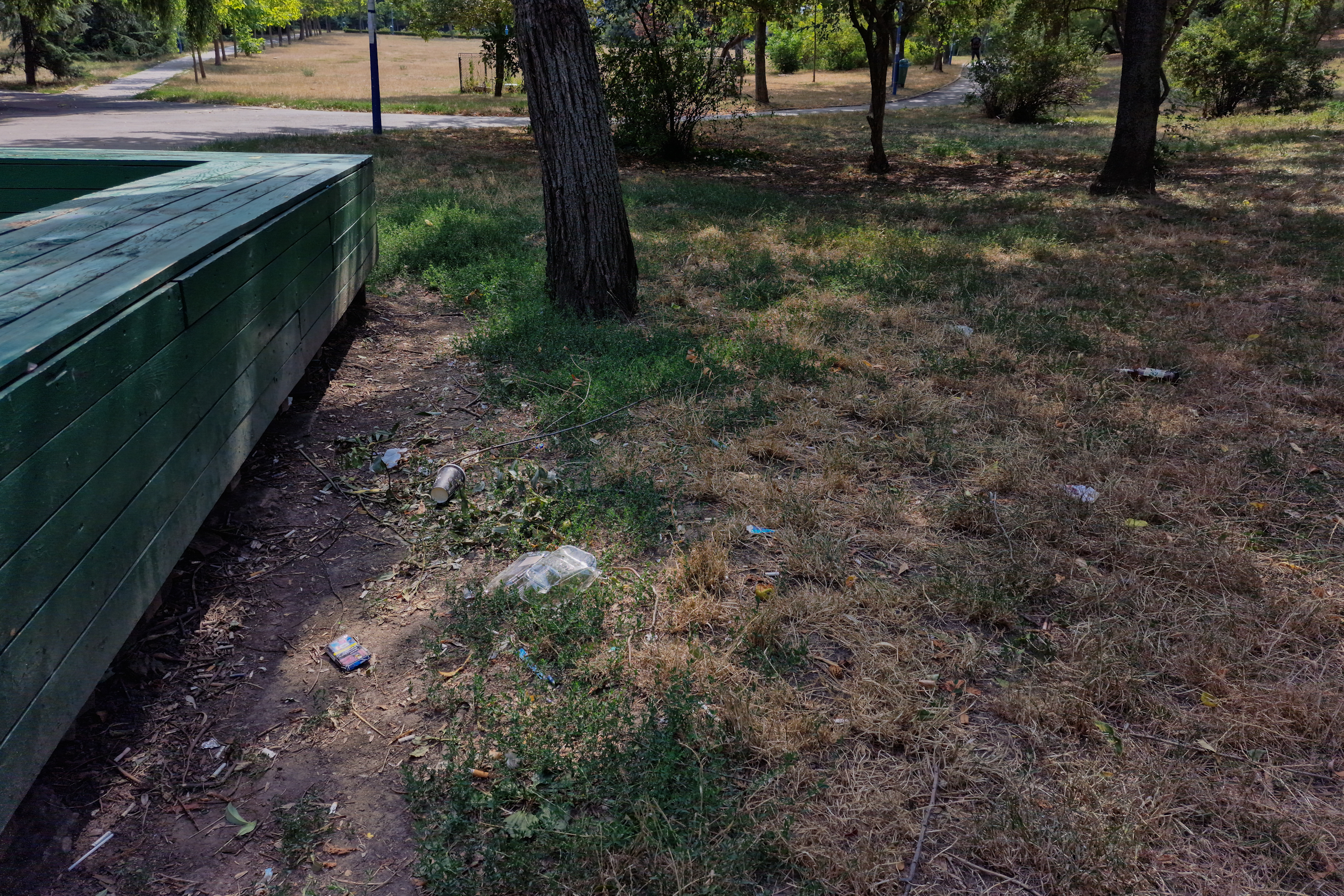 FOTO. În Parcul Circului din București, toată iarba e pârjolită. Rezistă, în schimb, gunoaiele