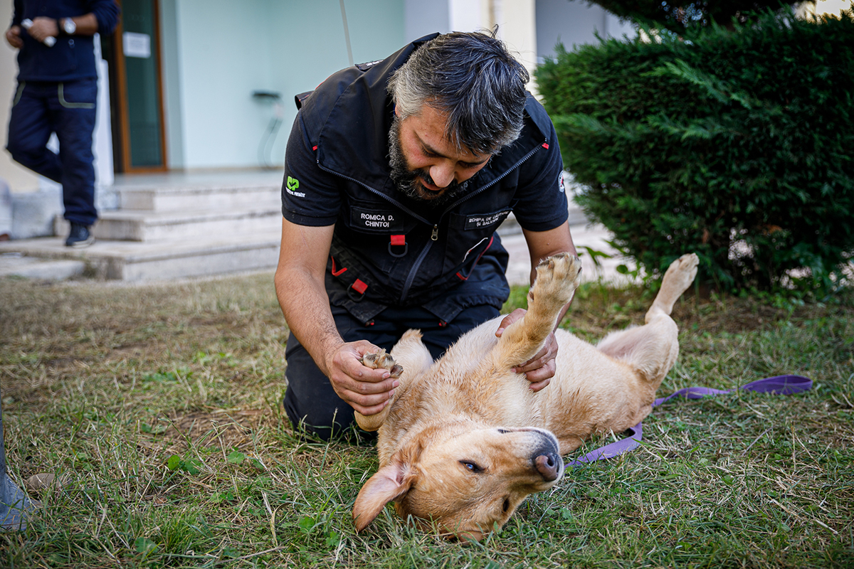 Oameni și câini au muncit împreună în iadul din Albania. Challapa, maidaneza salvată care a devenit salvatoare