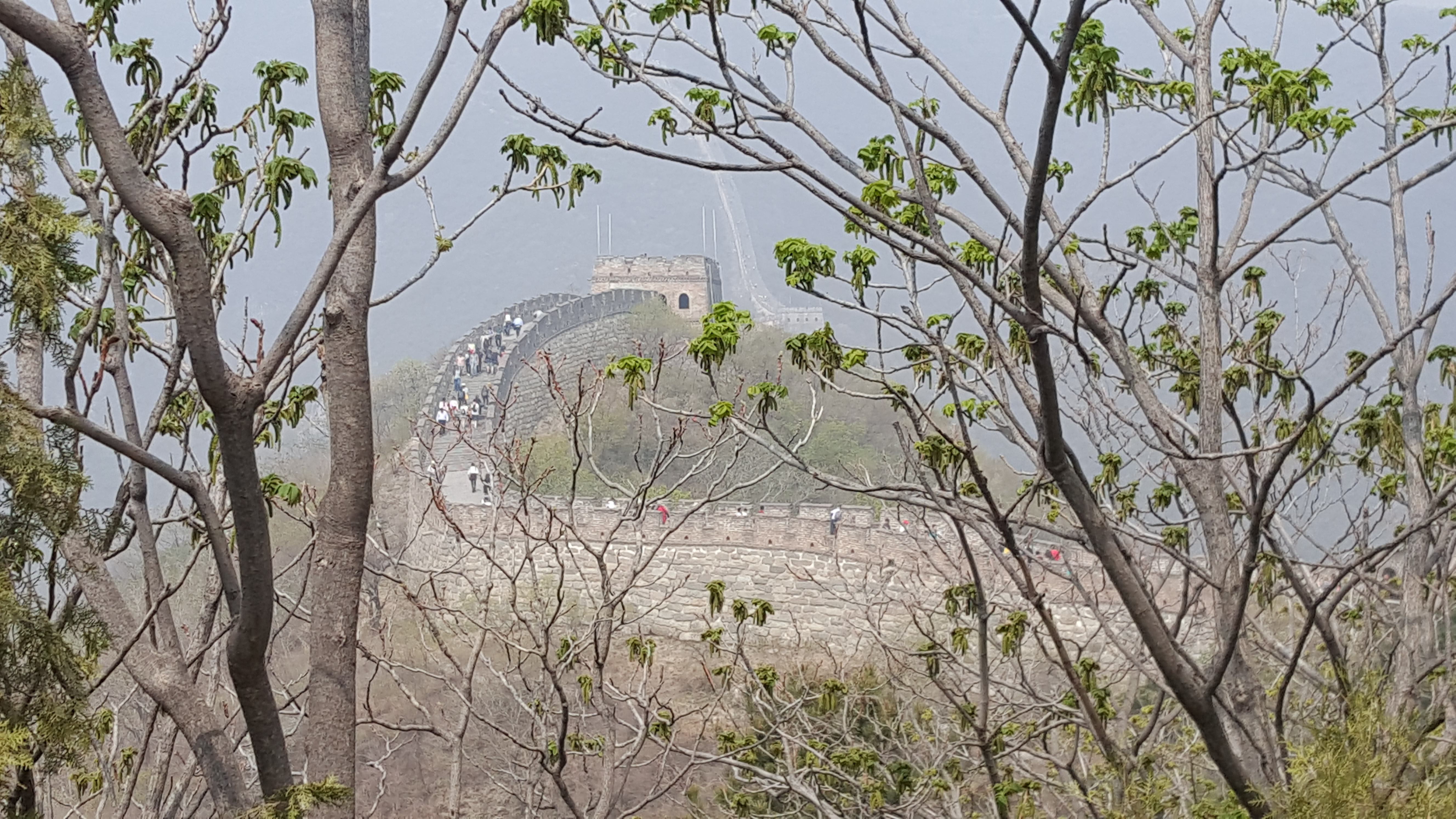 CORESPONDENȚĂ DIN SICHUAN și BEIJING, ULTIMUL CAPITOL | Scriitoarea Doina Ruști, despre plimbarea pe strada unuia dintre cei mai importanți poeți chinezi și excursia la Marele Zid