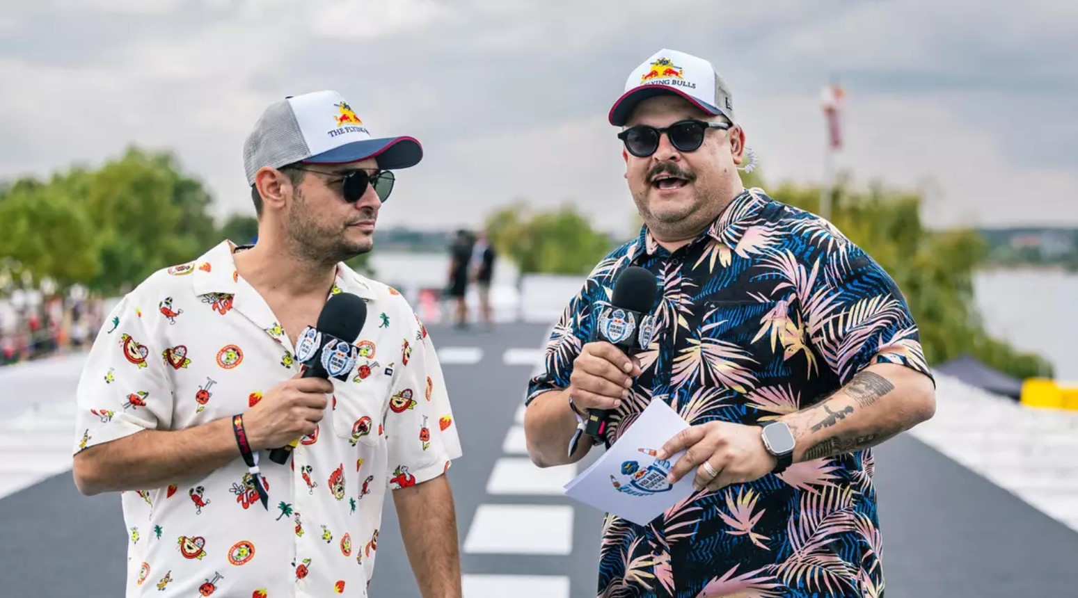 38 de piloți trăsniți au sfidat gravitația la Red Bull Flugtag cu mașinăriile lor zburătoare. Echipa Pegasus 27 a câștigat competiția