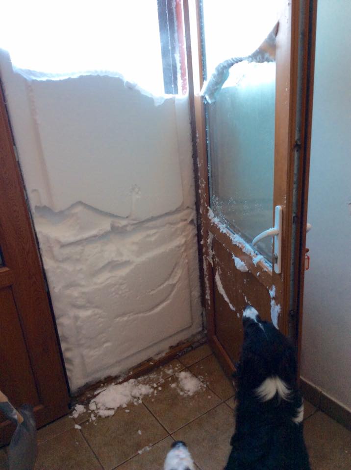REPORTAJ/Povestea câinilor de avalanșă Helios și Dara sau încrederea de nezdruncinat dintre om şi animal: "Unde merg eu, merg şi ei"/ FOTO
