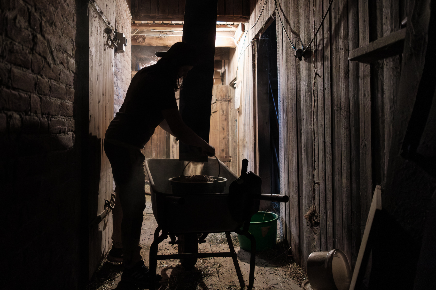 REPORTAJ. O româncă a plecat la 19 ani dintr-un sat din Bacău și a ajuns să candideze la alegerile locale din Norvegia: „Aici, când aud că ești fermier, oamenii își dau jos pălăria și îți spun «Mulțumesc pentru mâncare!»” 