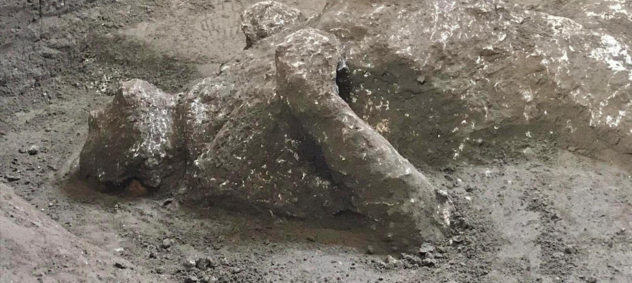 Rămășițele foarte bine conservate a doi bărbați uciși în erupția vulcanică de la Pompeii, descoperite de arheologi