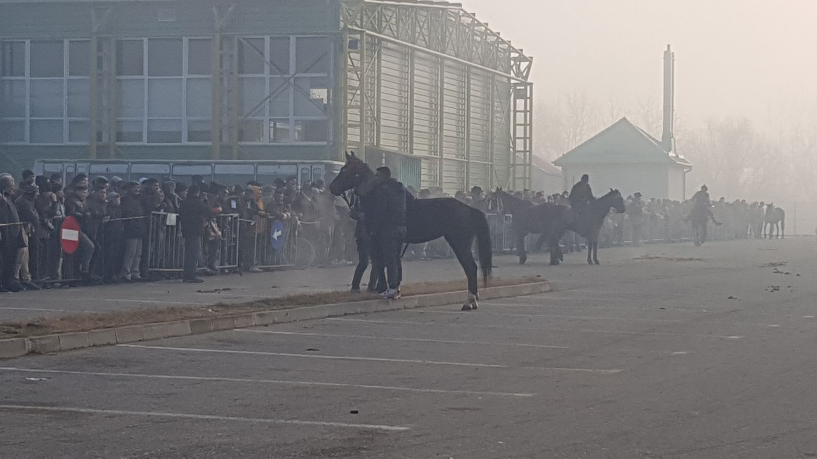 REPORTAJ: De Bobotează, caii din orașul lui Nea Mărin au fost stropiți cu agheasmă ca să nu se prindă blestemele de ei| FOTO