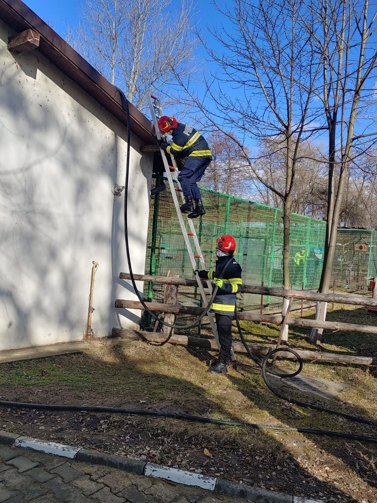 Incendiu la Grădina Zoologică din Râmnicu Vâlcea, la pavilionul unde sunt maimuțele. Animalele au fost evacuate