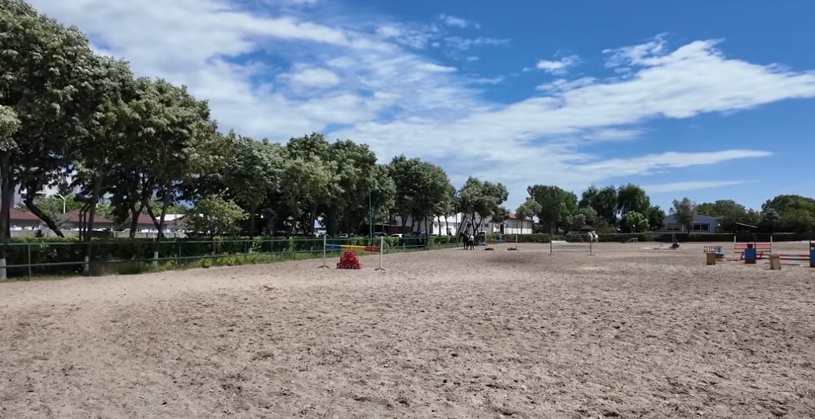 Imagini rare cu proprietatea lui Nuțu Cămătaru. Cum arată domeniul din Ferentari unde sunt crescuți cai și animale exotice