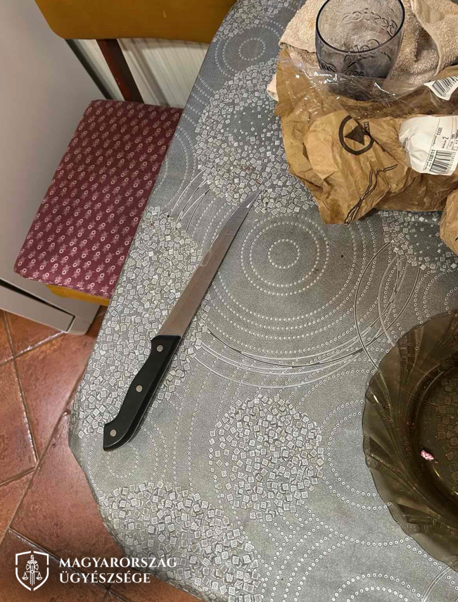 Brutálisan megszurkálta az édesanyját, majd lefeküdt aludni