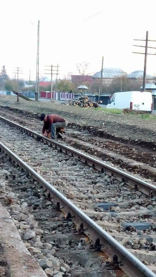 Câine legat cu lanțul de calea ferată de către un bătrân din Neamț supărat că animalul lătra și ataca găinile - FOTO
