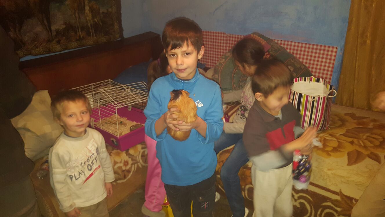 Reacția unor copii sărmani care au primit cadou un porcușor de Guineea: ”Wow, un iepure!”