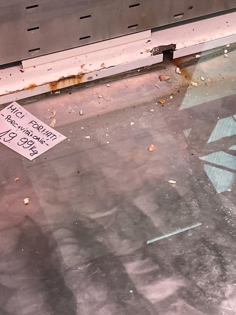 Piața Berceni și magazinul Mega Image din Piața Reșița, închise pentru 6 luni de ANPC. Mucegai, gândaci și rugină, printre neregulile descoperite