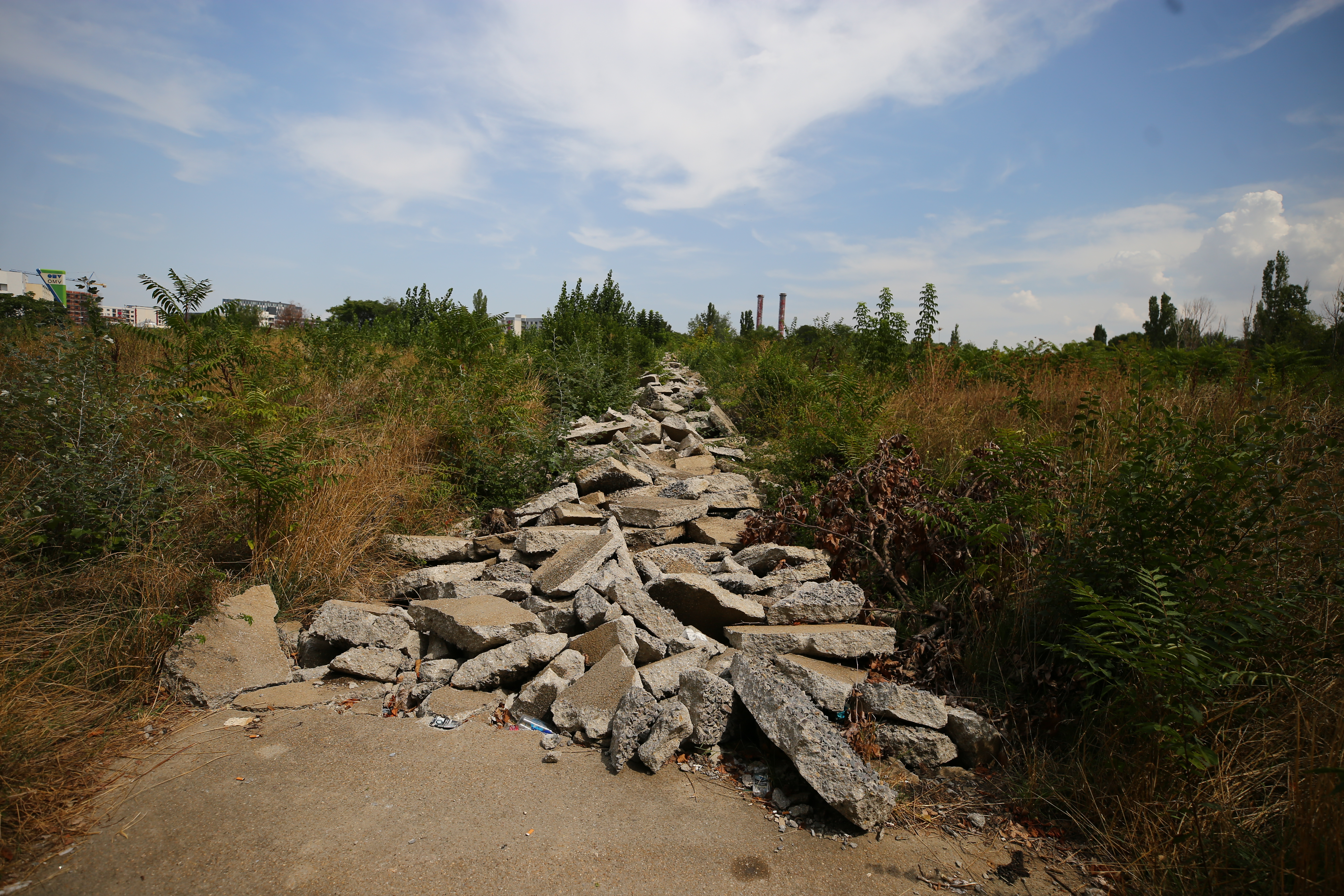 Cum ajunge un parc să nu mai aparțină cetățenilor. Cazul Grozăvești, împărțit între SRI și investitori imobiliari apropiați unui fost primar PDL