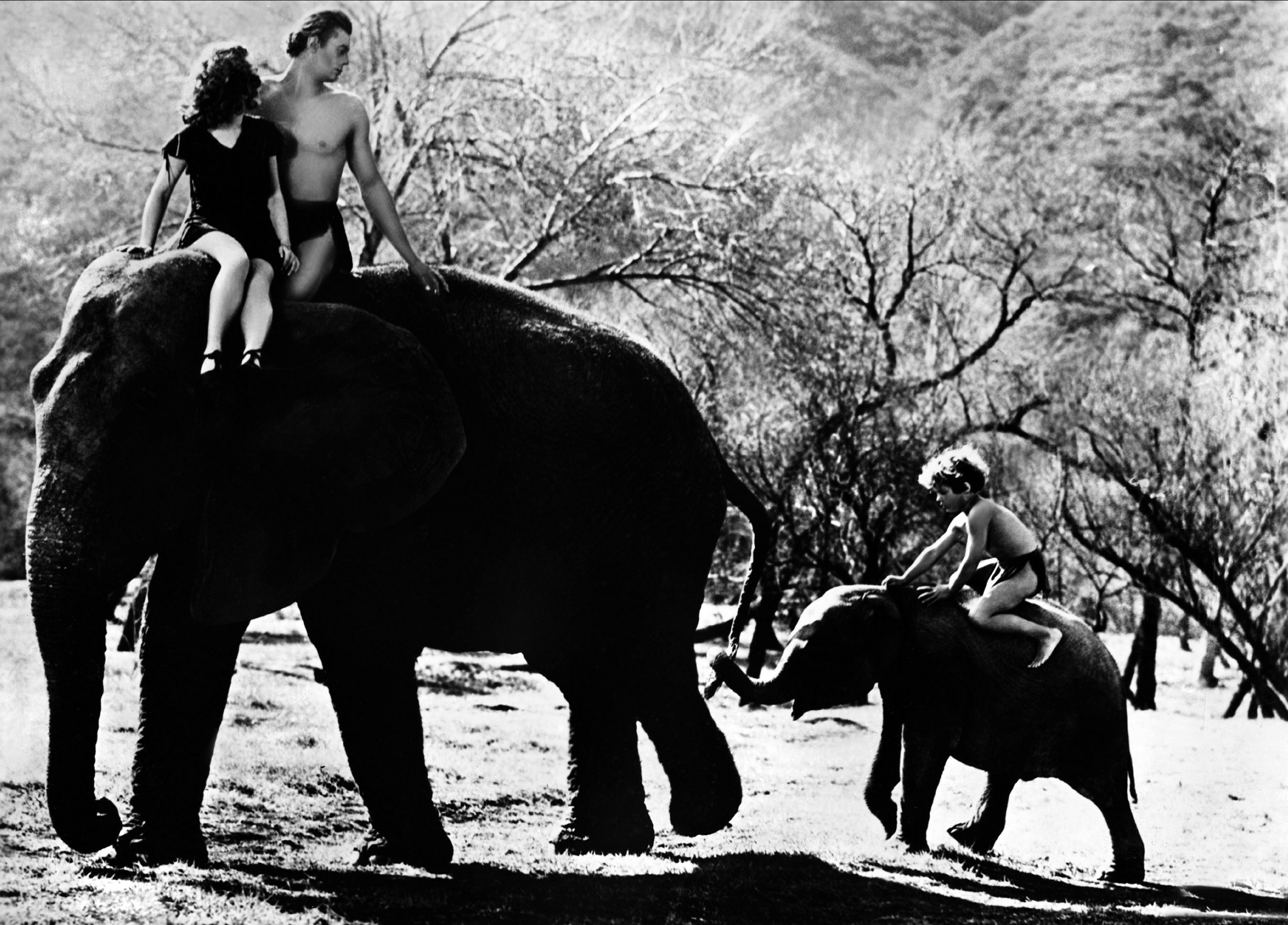 Cum a murit Johnny Weissmuller, actorul de origine română care l-a interpretat pe Tarzan: „Era într-un spital de psihiatrie, imita strigătul «regelui junglei»”