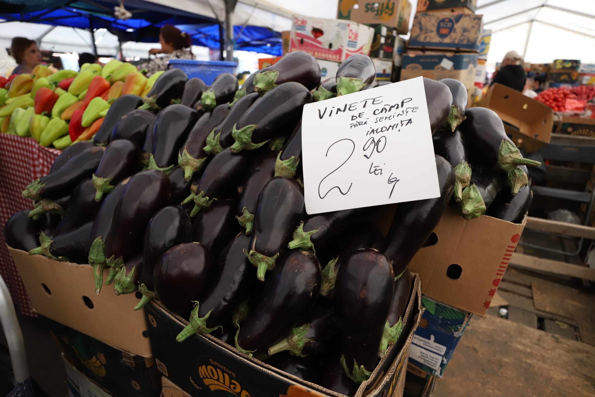 Cât costă să cumperi ingrediente pentru 10 borcane de zacuscă: calculul pentru rețeta tradițională cu vinete, ardei kapia, gogoșari și ceapă