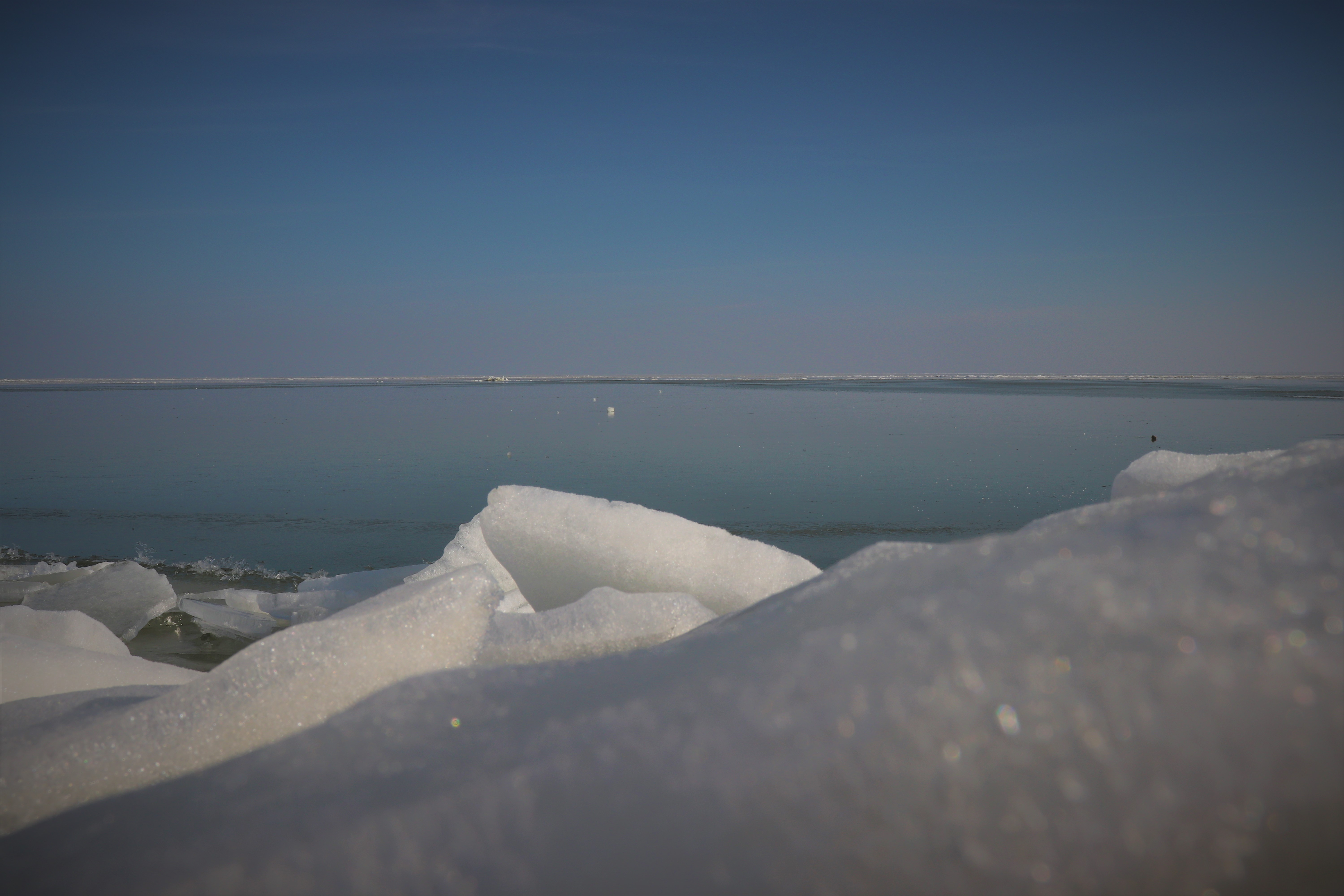 FOTO & VIDEO/ Iarnă de poveste în Delta Dunării. Imagini spectaculoase cu lacul care a devenit un imens patinoar!
