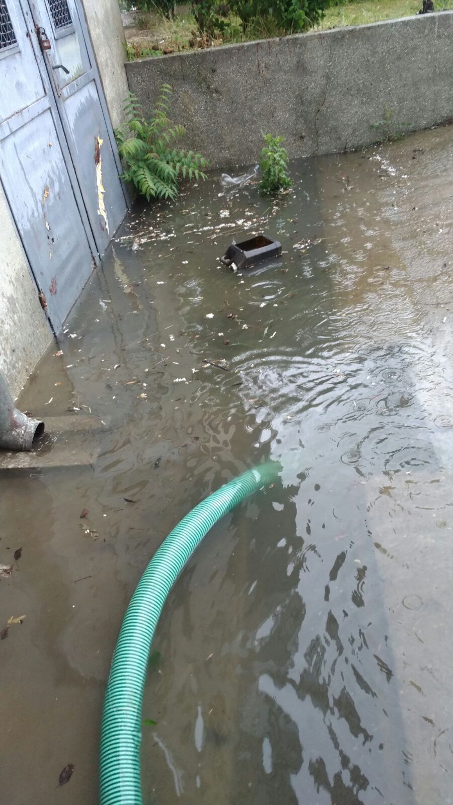 FOTO/ Mașină blocată în ape sub un pod din Timișoara. Inundații în tot județul Timiș după codul portocaliu de ploi