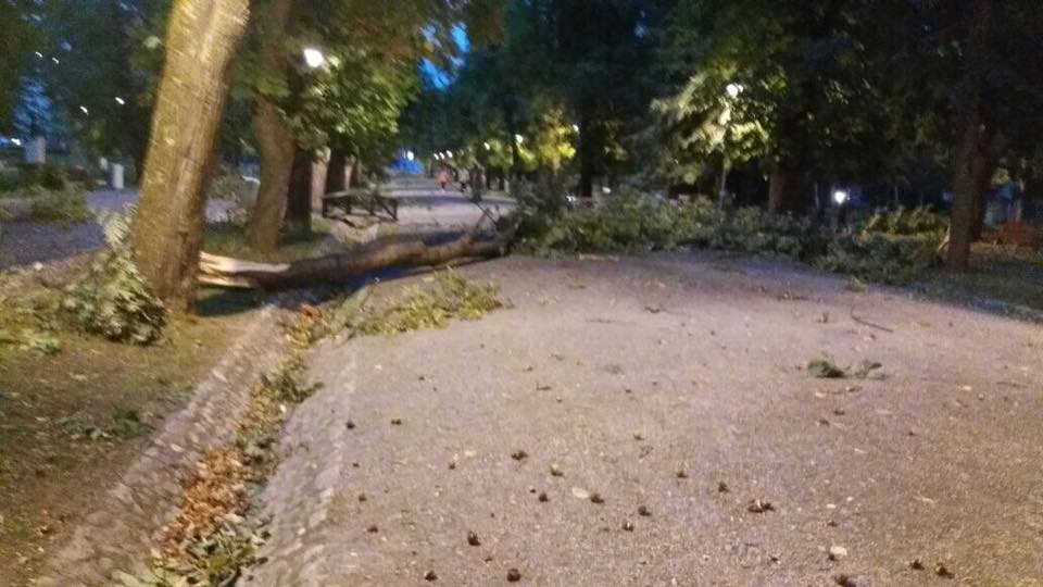 FOTO & VIDEO | Prăpăd după furtună în Cluj. Imaginile dezastrului, publicate de primarul Emil Boc