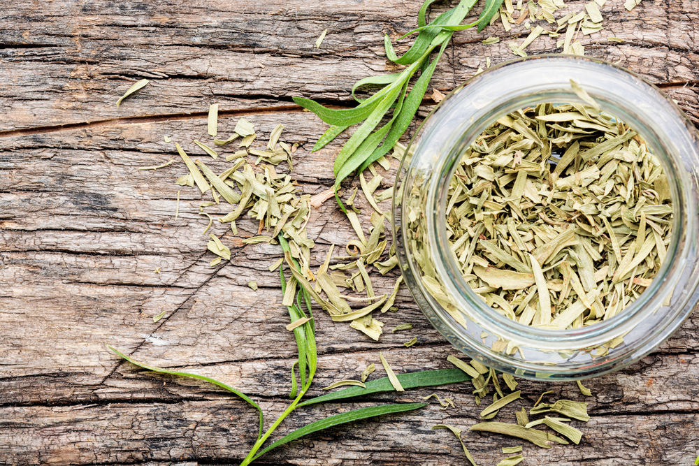 Tarhon - cum se consumă și ce beneficii are planta aromatică