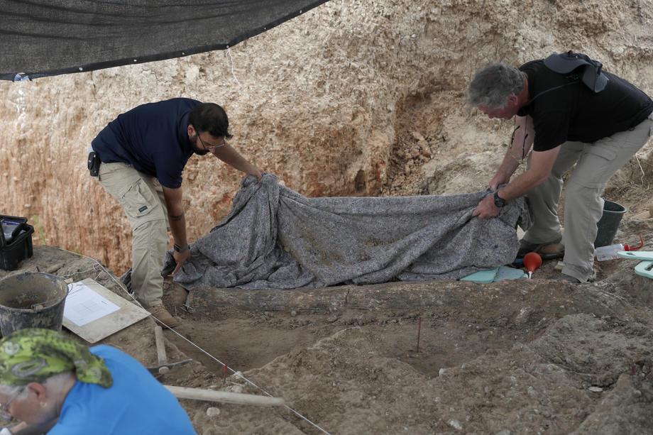 Fildeșul unui elefant gigantic a fost descoperit, fosilizat, în Israel