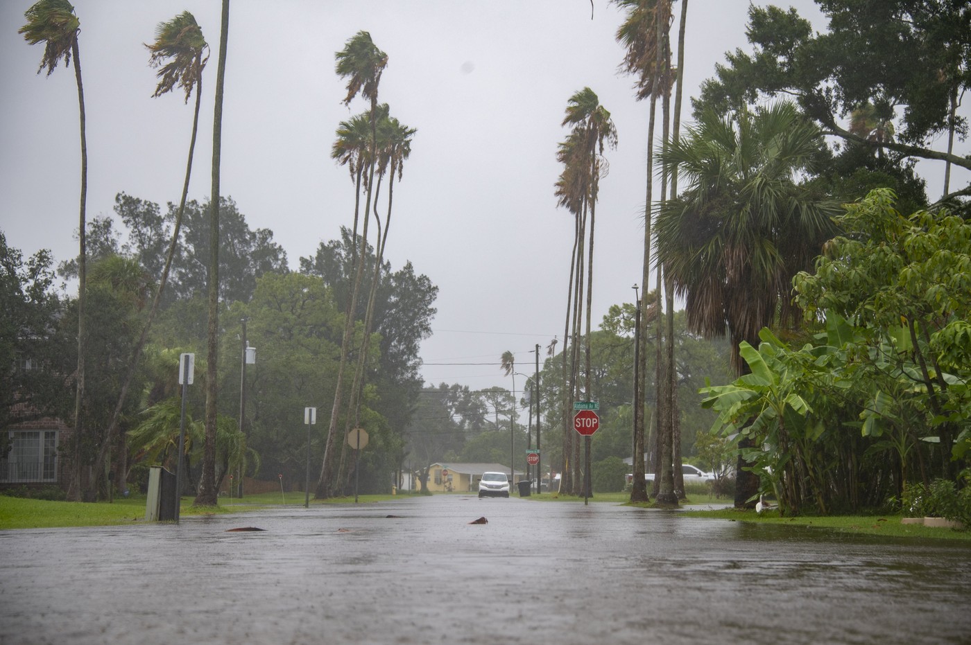 Stare de urgență și ordine de evacuare în Florida, înaintea furtunii tropicale Debby: „Luați situația în serios!”. FOTO