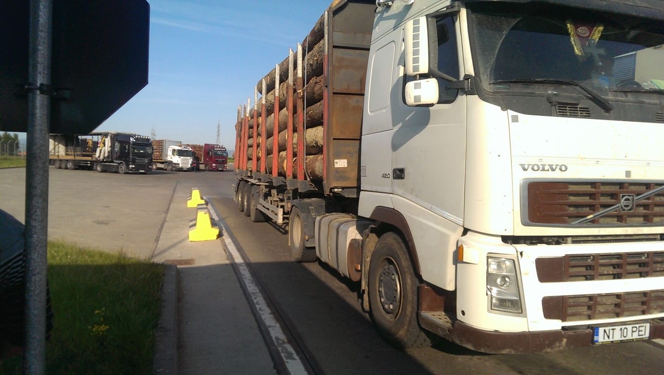 Percheziții DIICOT la Holzindustrie Schweighofer, cel mai mare exportator de lemn din România