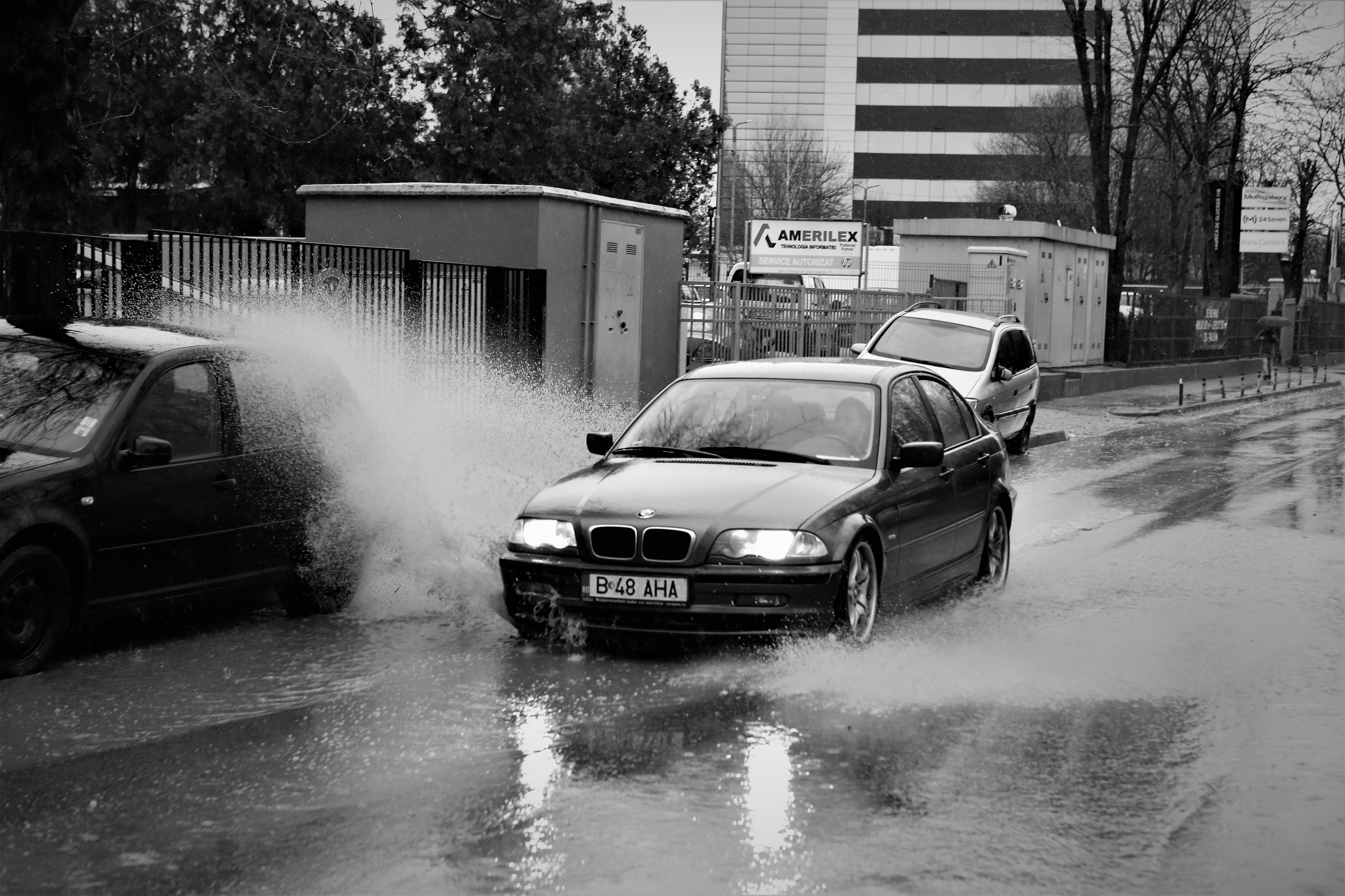 FOTOREPORTAJ | #salvatipipera, între ALB și NEGRU
