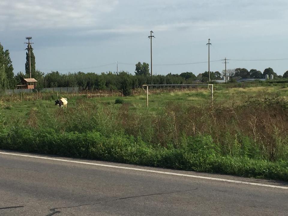 Unde a început Budescu fotbalul. Așa arată acum gazonul pe care a călcat prima dată! | FOTO