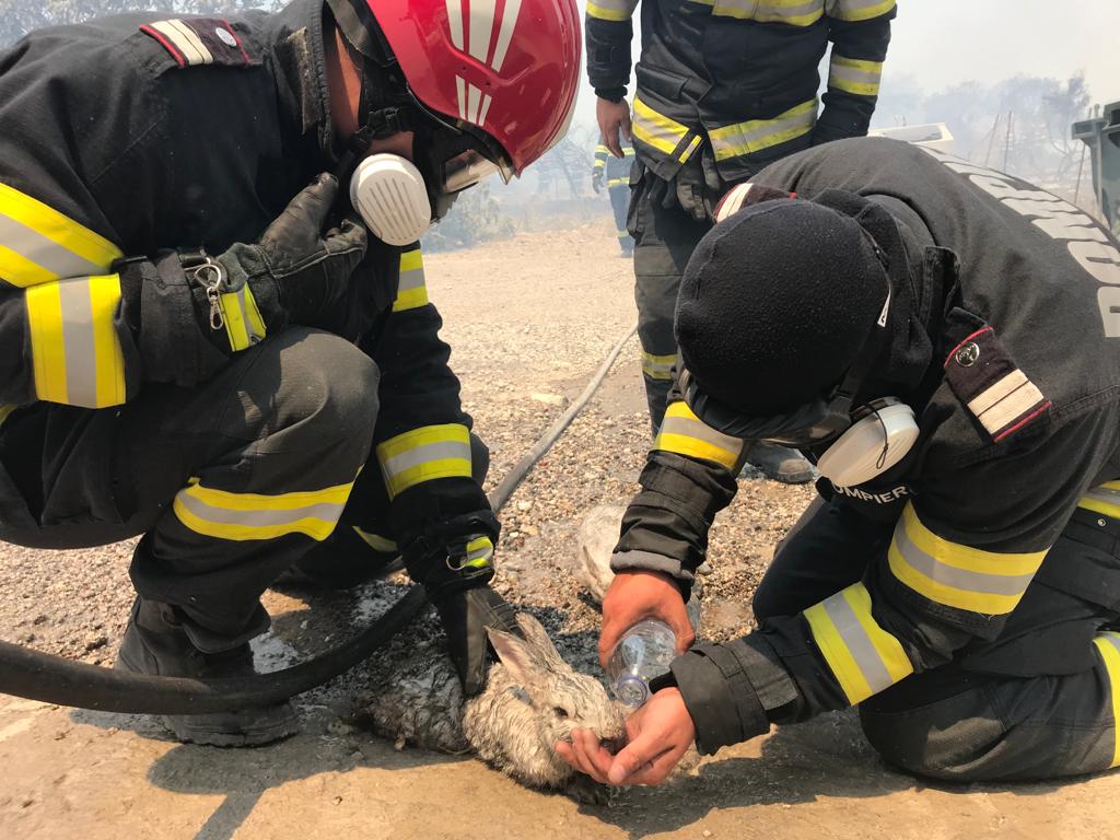 Mărturia unui antreprenor român din iadul de foc din Rodos: „Ajutoare vin, dar deja e prea târziu”