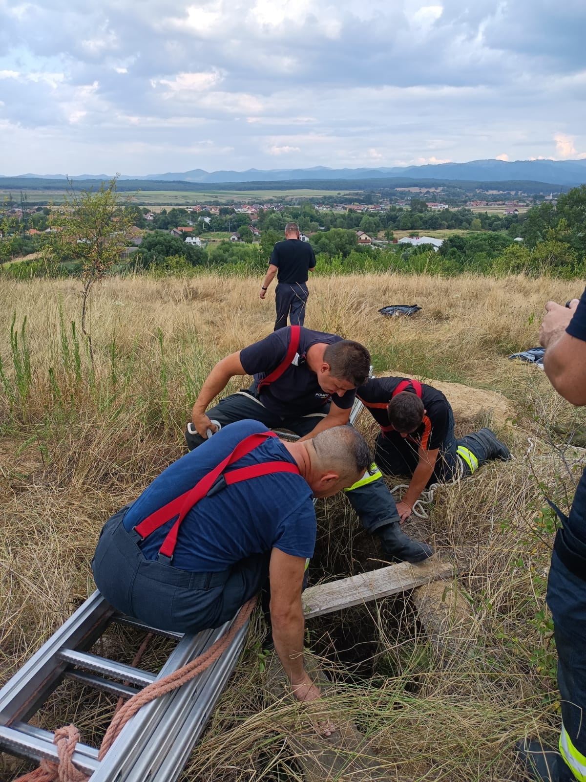 Misiune de salvare a unei vulpi care a căzut într-o fântână, în Orăştie. Şase pompieri s-au mobilizat