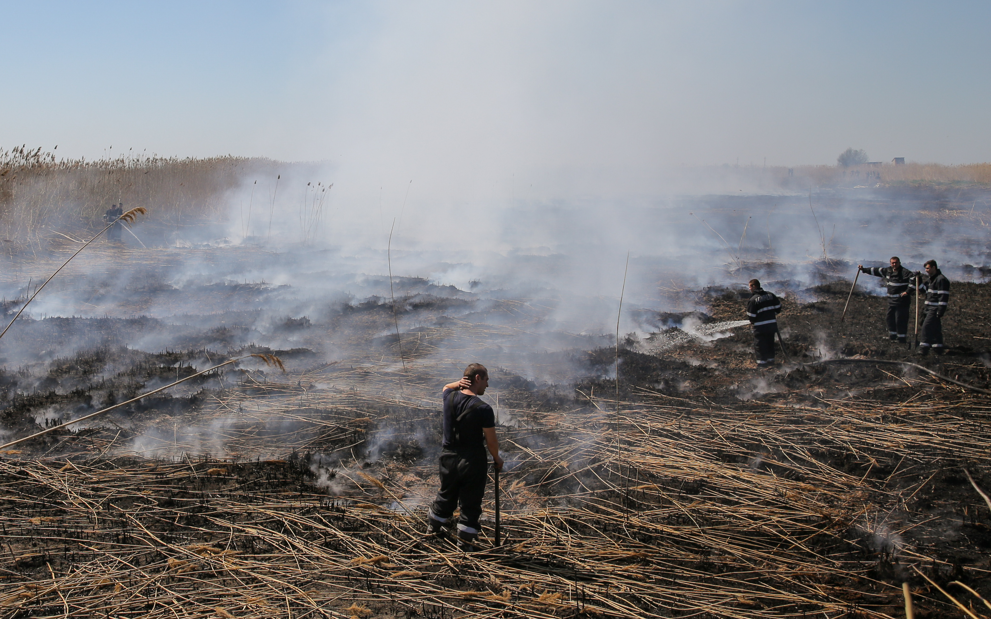 Incendiul care a poluat miercuri Bucureștiul. Cum a ajuns fosta fermă de porci din Periș, care a avut legături cu Liviu Dragnea, un dezastru ecologic
