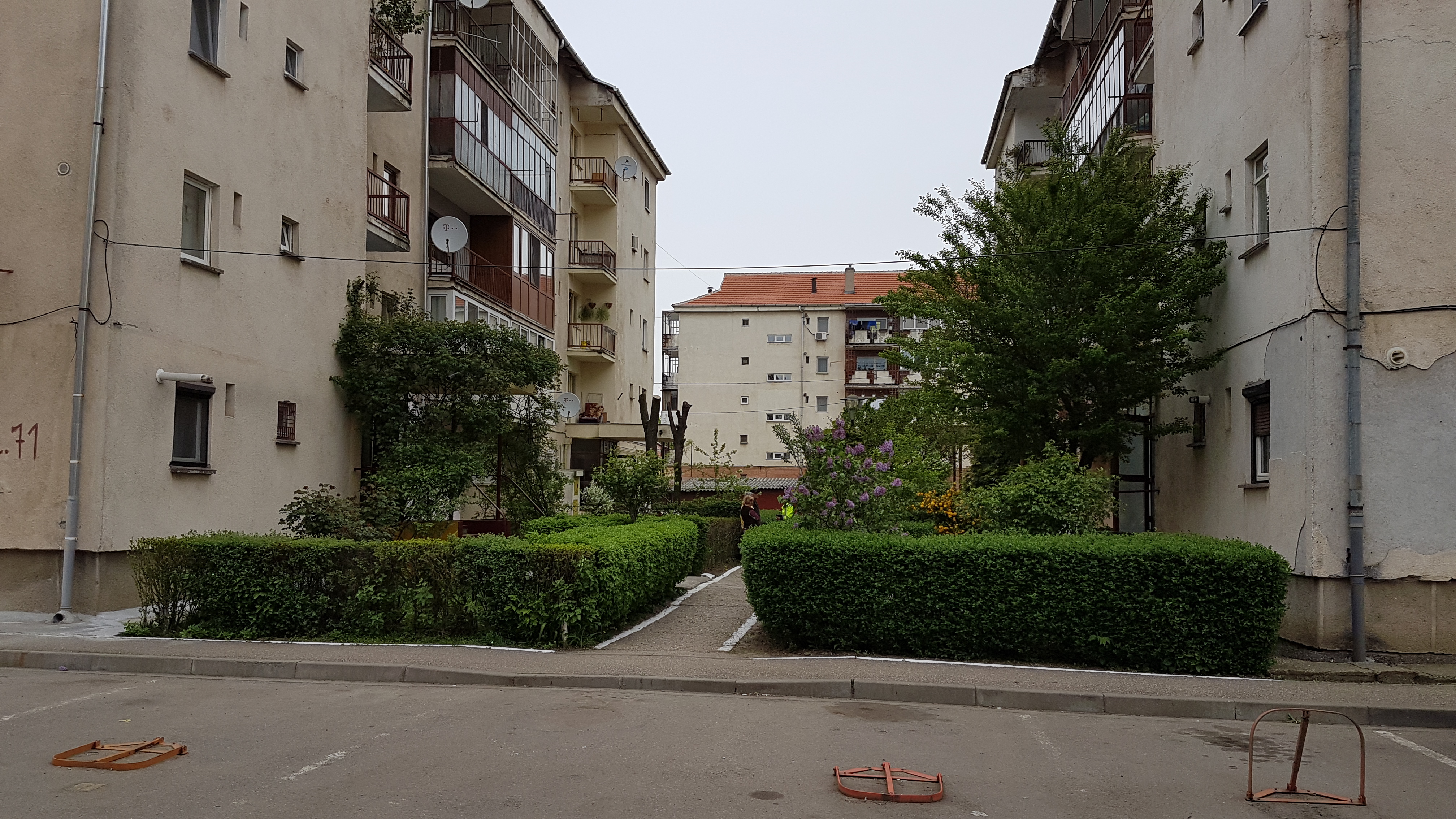 INCREDIBIL! Copil abandonat într-o plasă, în Arad! GALERIE FOTO
