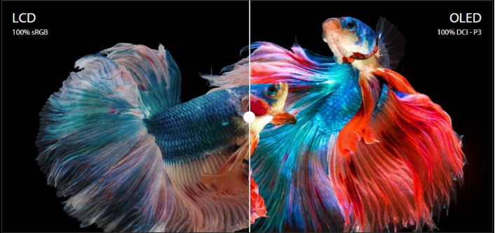 Key features of the ASUS Zenbook S16