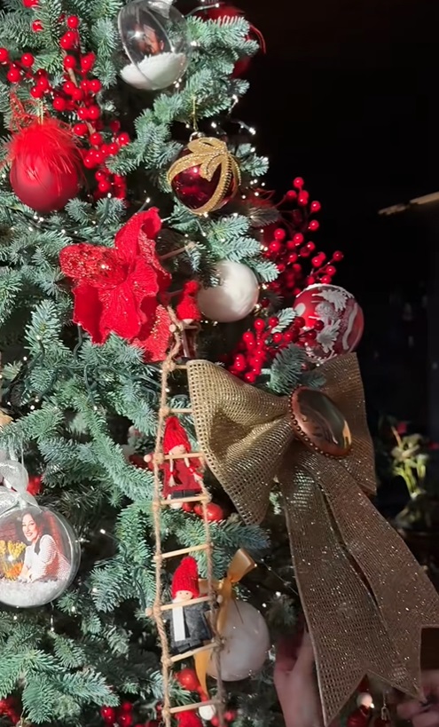 Imagini din casa Andrei și a lui Cătălin Măruță, împodobită de Crăciun. Nu au decorat doar bradul, ci și scările interioare și ușa vilei