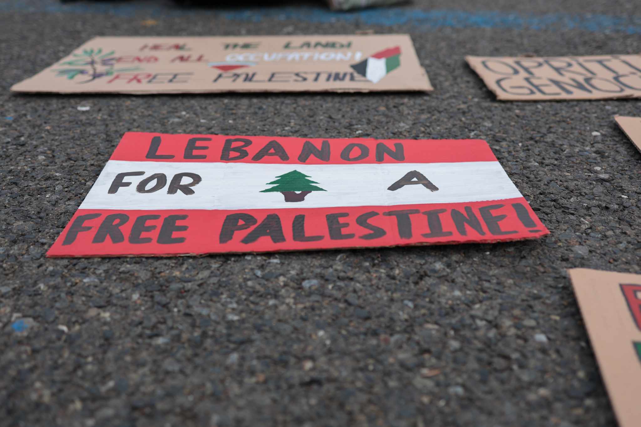 Un nou miting pro-Palestina în București. Circa 100 de persoane cer oprirea ostilităților din Gaza