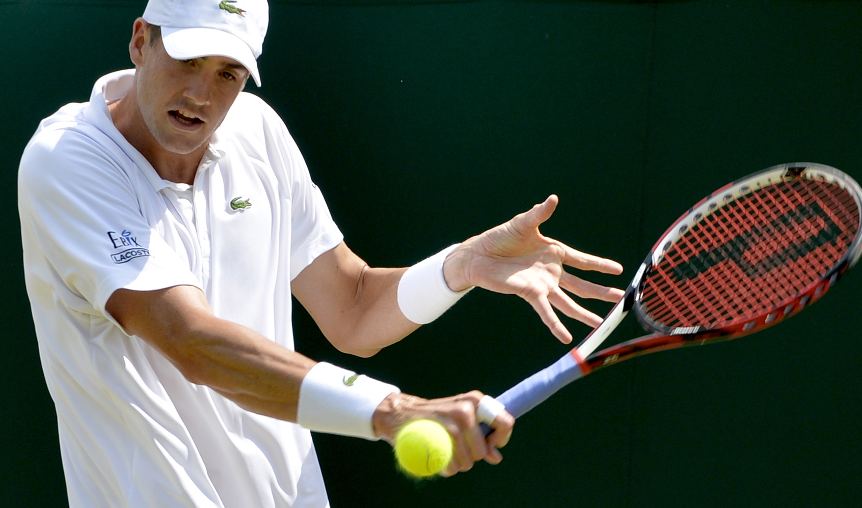 O vrăbiuță a scăpat de ochii ageri ai vulturului care veghează asupra Wimbledonului / GALERIE FOTO