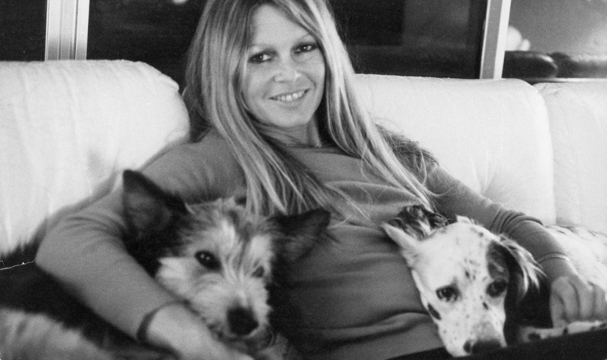 Secretul pe care Brigitte Bardot i l-a dezvăluit actriței Carmen Tănase: „M-a făcut să nu mai mănânc carne șapte ani”. Detalii inedite despre întâlnirea celor două actrițe