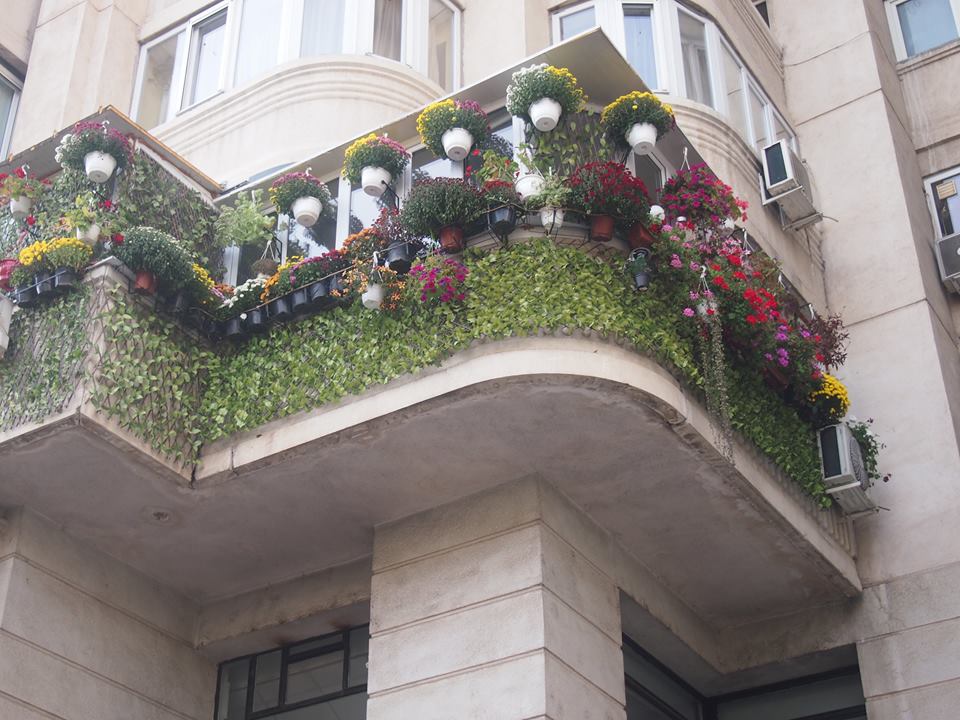 VIDEO/Cel mai frumos balcon din București, decorat de iarnă. În 2018, proprietarul promite mai multe flori
