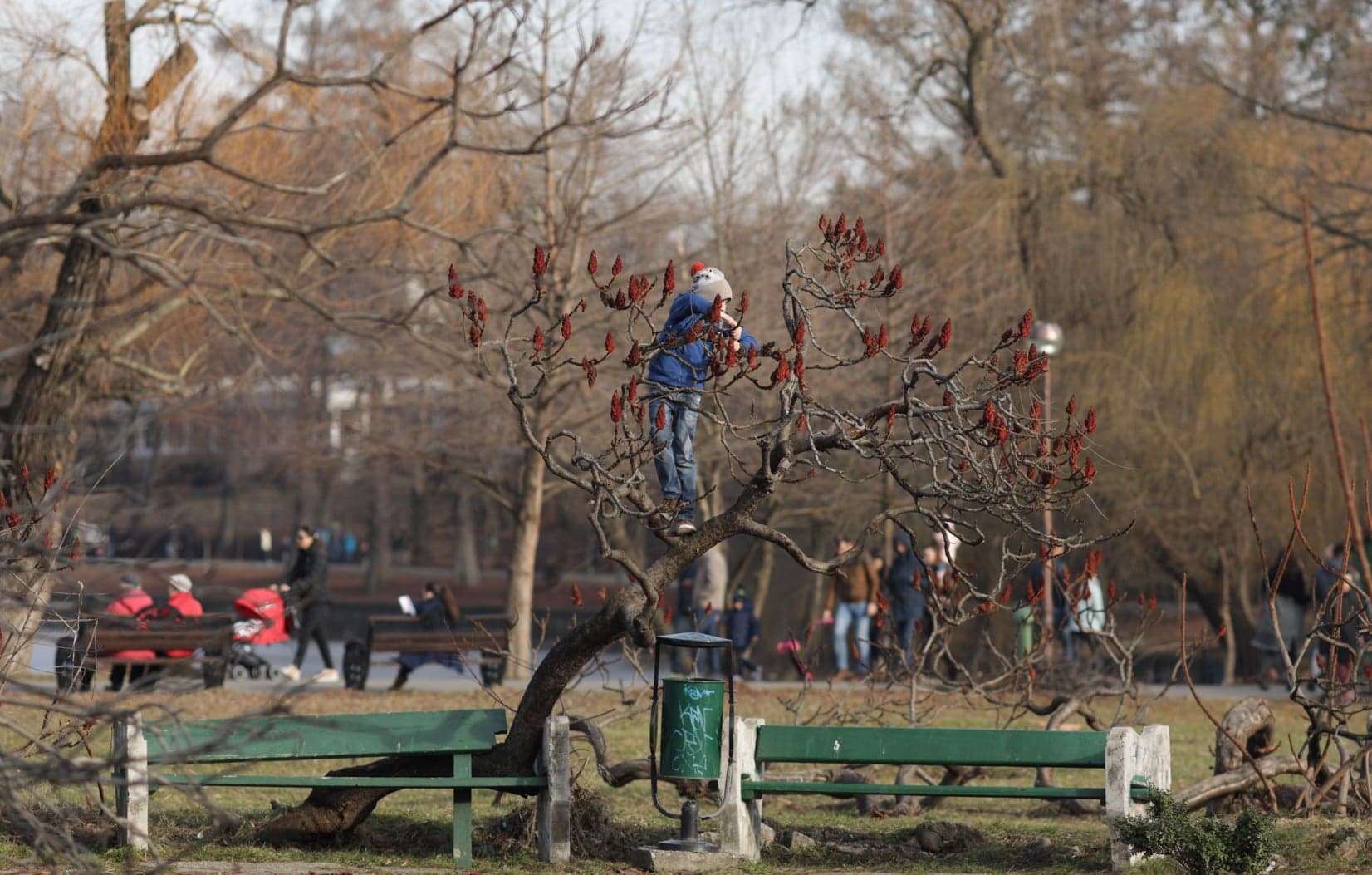 Prognoza meteo pentru săptămâna viitoare. Vremea se menține caldă, cu temperaturi ridicate