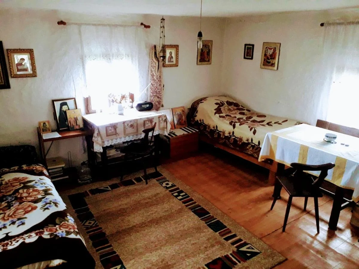Casa părintească a Părintelui Arsenie Boca, de vânzare. Costă 3 milioane de euro și se vinde alături de 8 hectare de teren | FOTO
