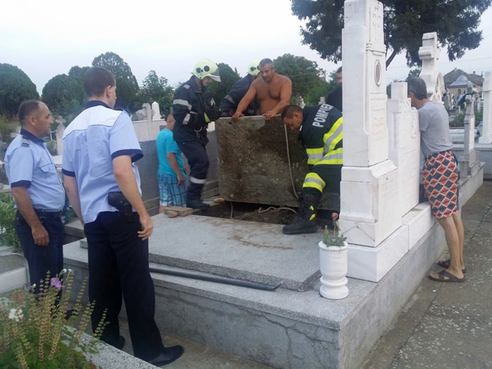 Un câine a fost îngropat de viu intenționat într-un cavou din cimitir. Explicația uluitoare a groparilor, care și-au recunoscut fapta
