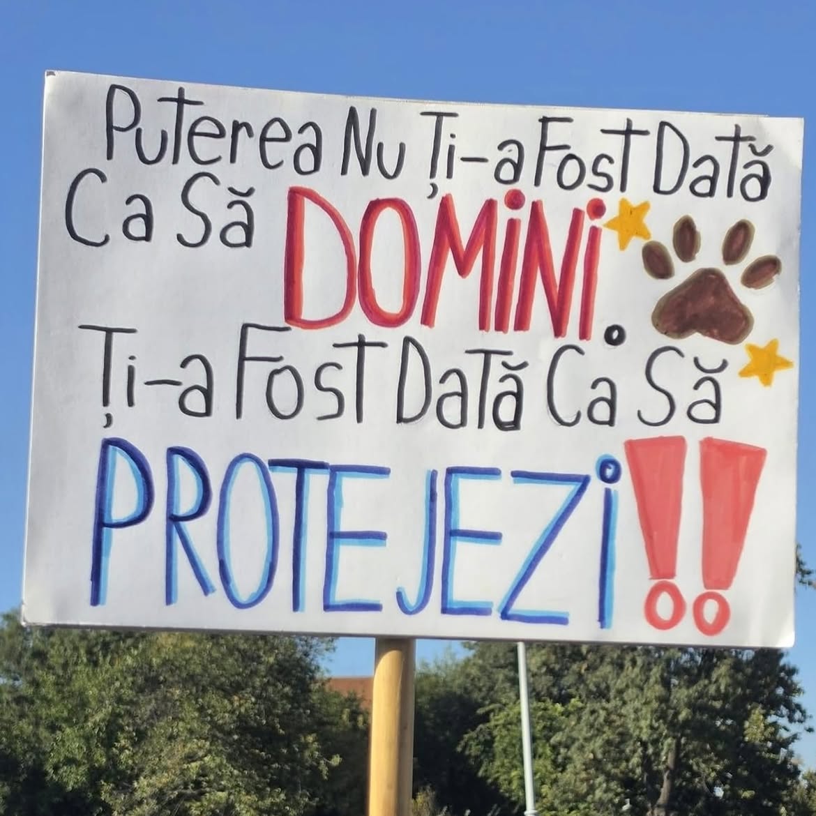 Raluca Bădulescu, prezentă la protestul pentru drepturile animalelor
