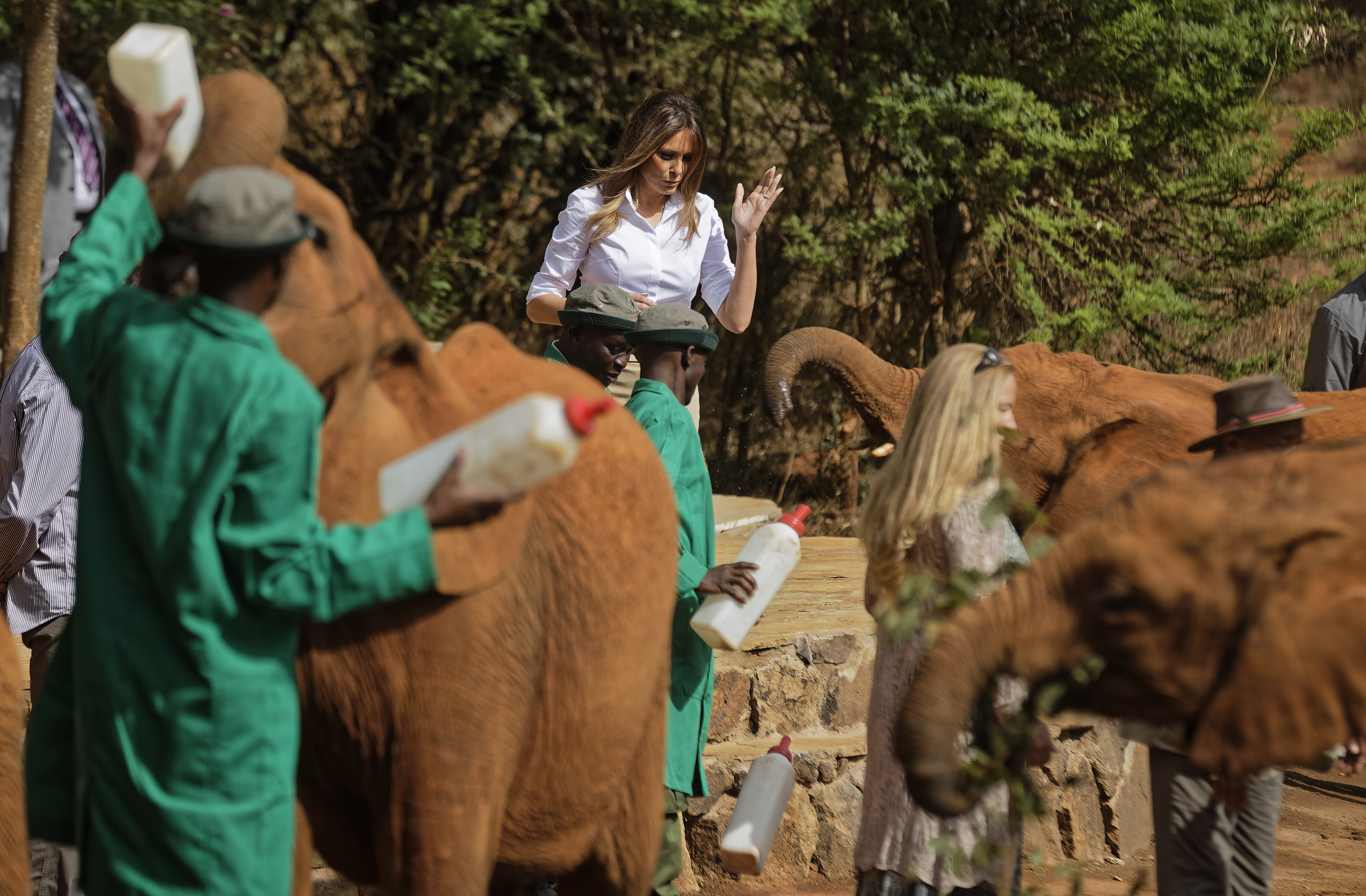FOTO| Melania Trump a hrănit elefanți și a mers într-un safari în timpul vizitei în Kenya