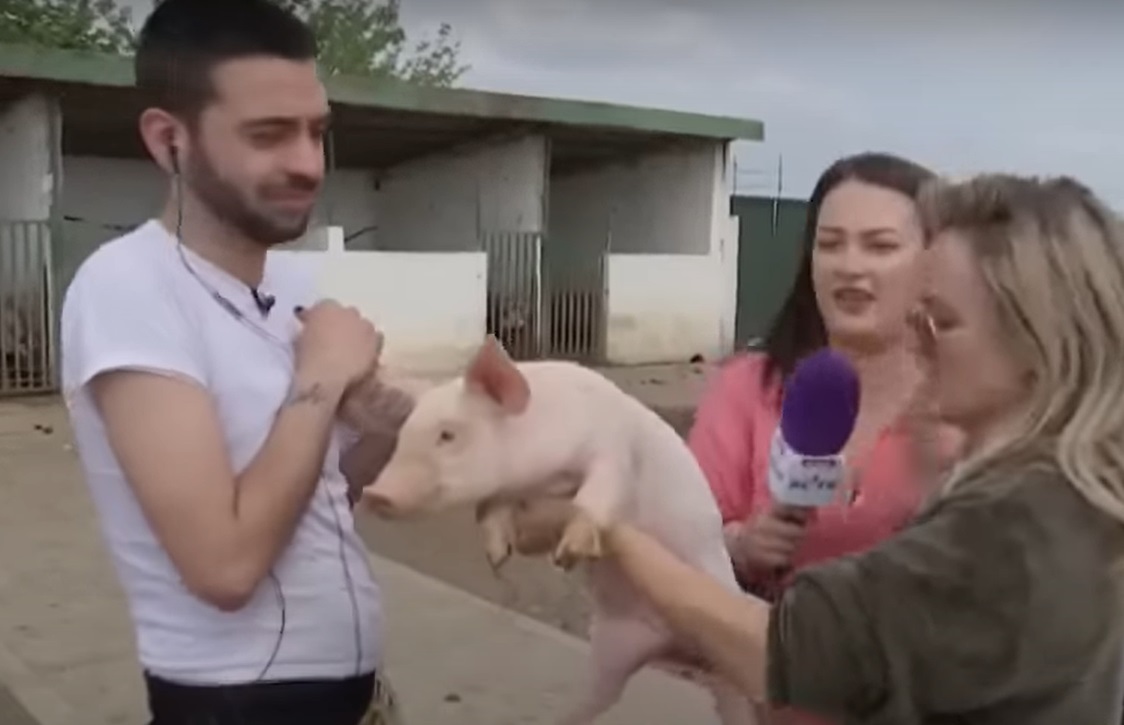 David Pușcaș a dat probe de angajare la o fermă. Când a văzut purceii, a început să urle: „Am crezut că mă mușcă de picioare”