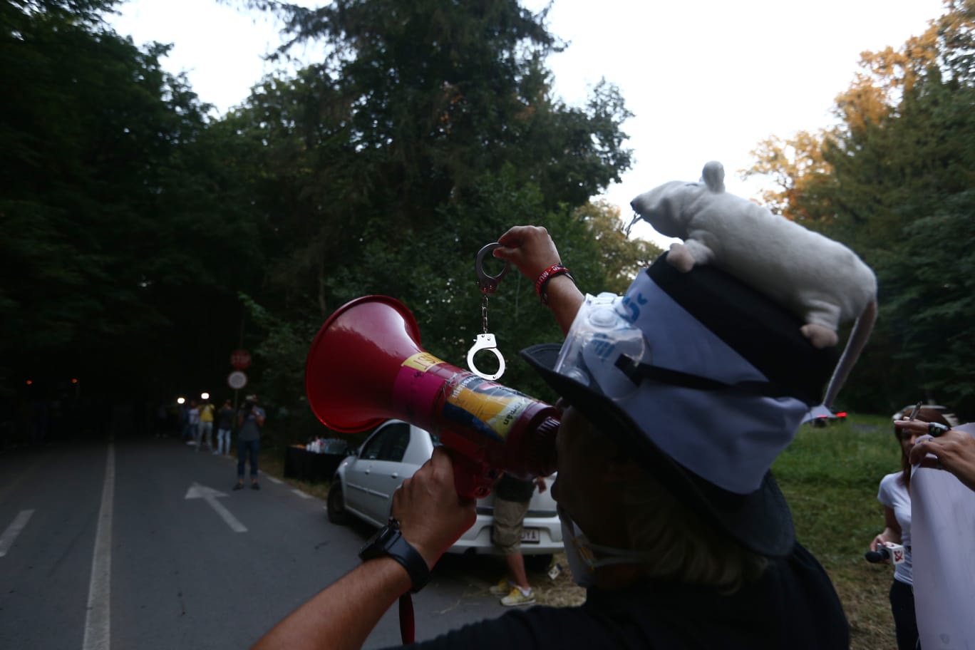 FOTO. Scandal la nunta fiului lui Liviu Dragnea, de la Palatul Snagov; Protestatarii blochează mașinile invitaților și strigă lozinci anti-PSD