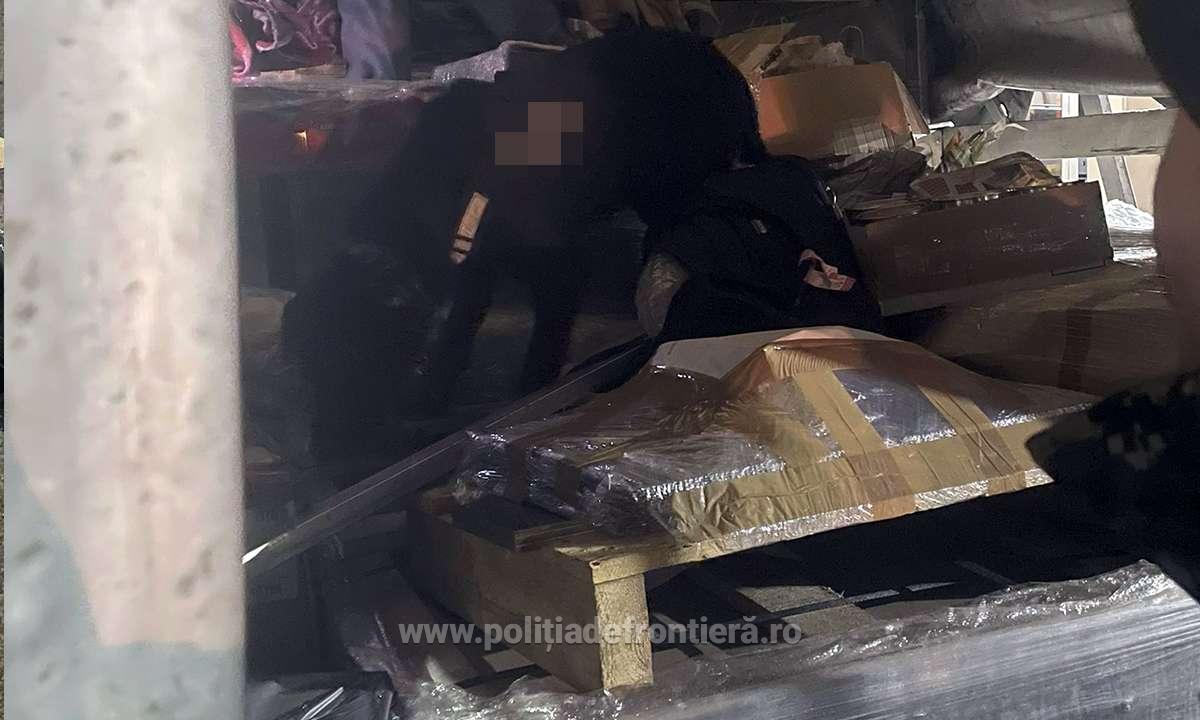Bulgar prins după ce a încercat să treacă granița cu România cu 3.200 de pachete de țigări ascunse. Unde le ținea