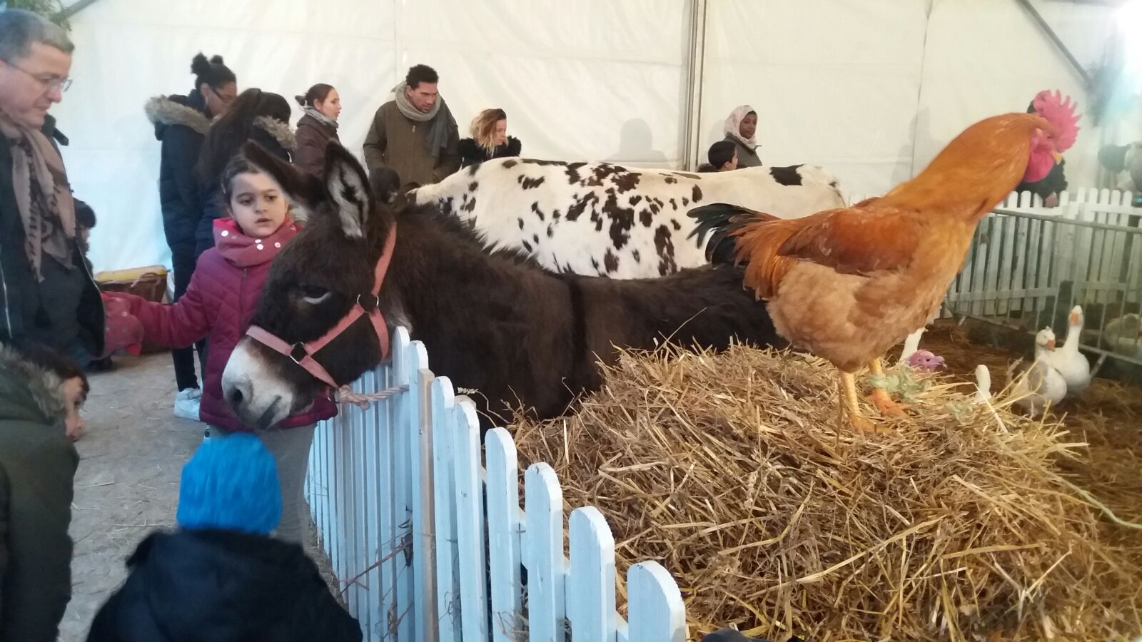 FOTO/Târgul de Crăciun din Saint-Denis - Paris are puțin din farmecul românesc. Un artizan francez imprimă haine cu imagini din București