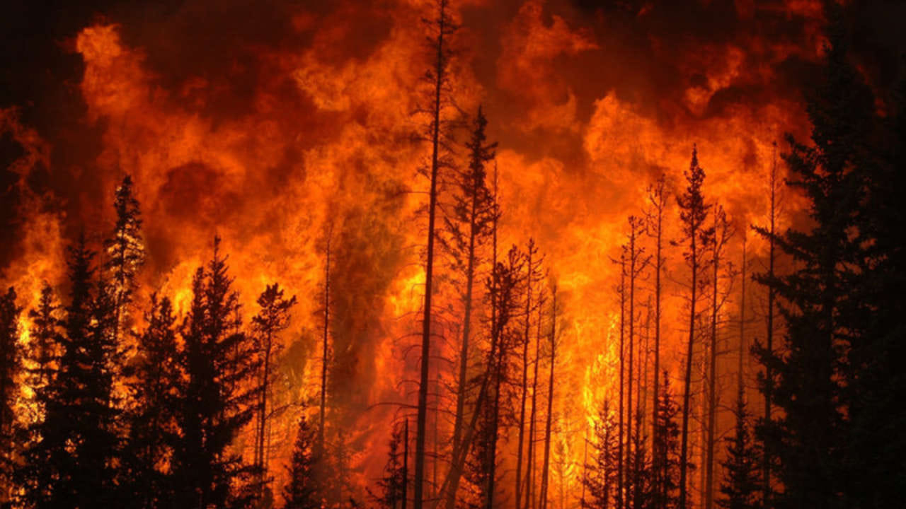 Incendiile puternice continuă în sudul Italiei. Temperaturi de peste 40 de grade, așteptate în următoarele zile