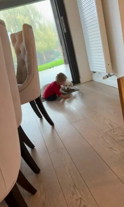 Imagini din casa în care Laurențiu Reghecampf și Corina Caciuc locuiesc alături de cei doi copii, Liam și Landon