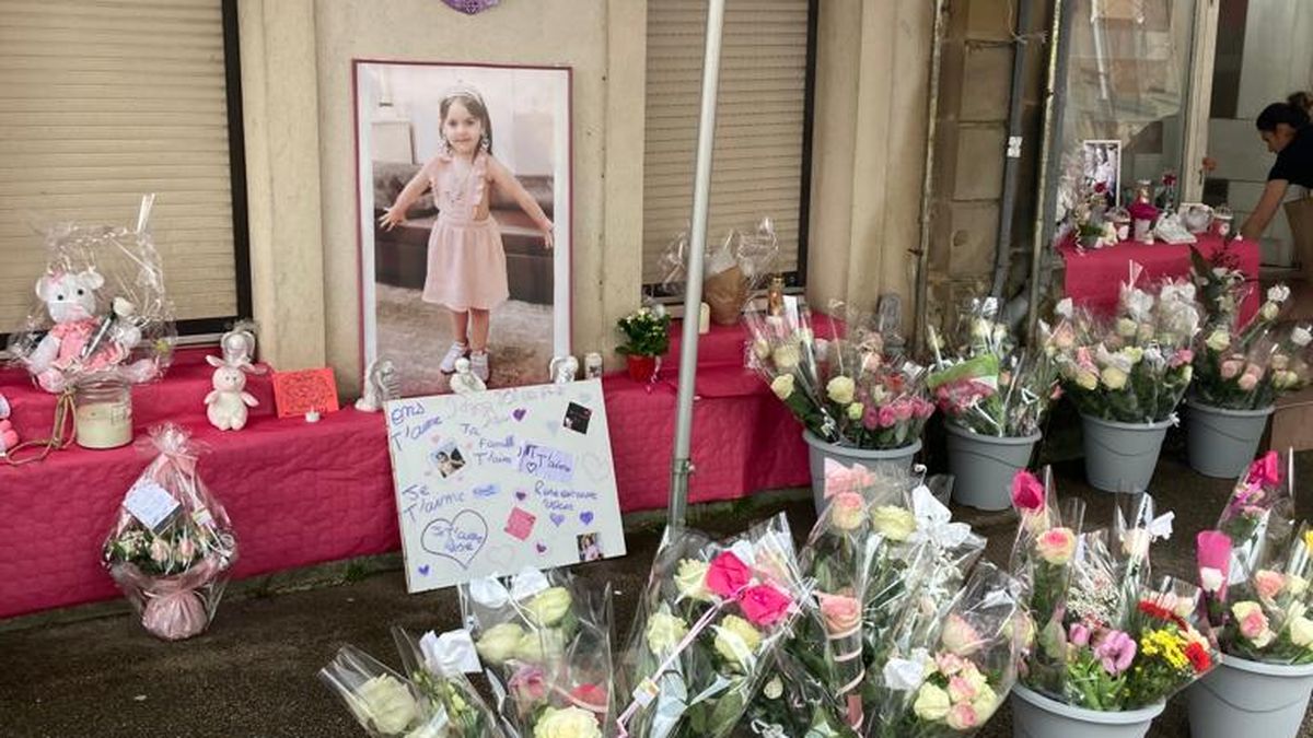 Marș cu 500 de oameni pentru Rose, fetița româncă de 5 ani ucisă și băgată dezbrăcată într-un sac de gunoi, într-un oraș din Franța